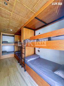Giường Tầng Trong Phòng Ngủ Tập Thể Cho Nữ  (Bunk Bed in Female Dormitory Room  )