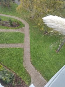 Appartements L-Obernai : Appartement 1 Chambre