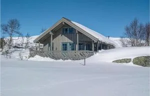 Holiday Home Vinje Skjærdalen - Botn
