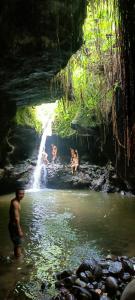 Lingkung Park Tetebatu