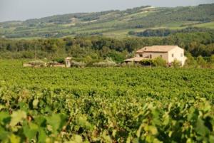 Appartements Gite 6-8 pers dans Mas provencal avec piscine et jardin : photos des chambres