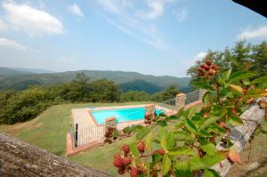 Agriturismo Badia Ficarolo