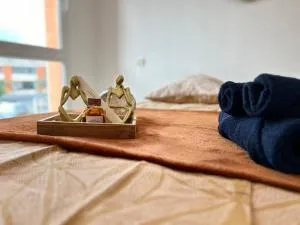 Appartement Cosy à Béziers - 贝济耶新城