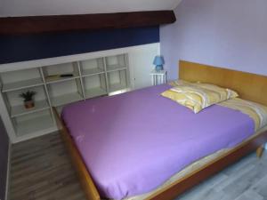 Maison avec jardin à Vierzon