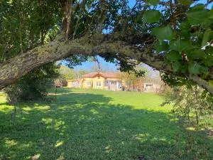 Ferienhaus Primorska Sunshine in Strandnähe - 沙布拉