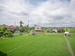 Peaceful 2BR villa near Canggu