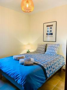 Maison familiale vue mer au calme 3 etoiles Villa Rose