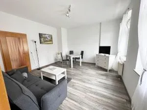 Fully equipped Apartment with Balcony - Fraureuth
