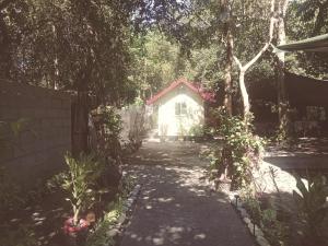 JUNGLE AERIAL ARTS NAMASTE LA Chi fan kubo 2pax