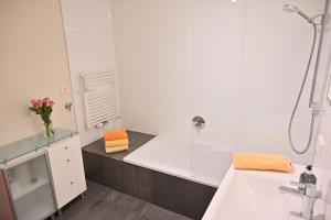 Apartment Sasano Mountain View