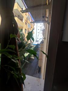 Shkëmbi i kavajës Ferienwohnung