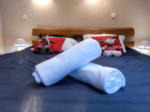 Appartements Maison Rebleuthof Sauna & Fitness : photos des chambres