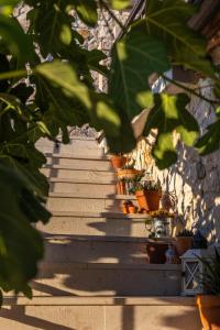 Villa Jokic Dvori ZadarVillas