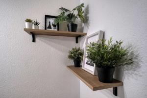 Ma maison à Disneyland Paris