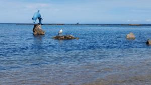 Appartamento Delfino Blu img19