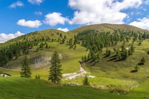 Chalet Tannenhaus II