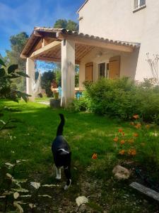Ma maison cozy - Jardin - Piscine - 500m du centre