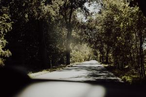 Chatka na Wiedźmiej Górce