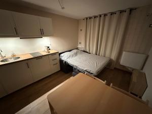 Appartements Appartement Chamrousse le Vernon : photos des chambres