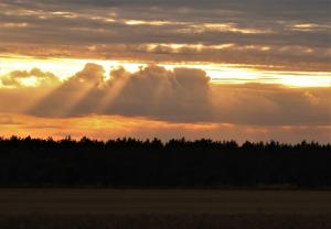 Chatka na Wiedźmiej Górce