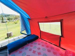 ECOXPLORA-Zona de camping
