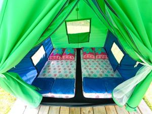 ECOXPLORA-Zona de camping