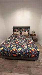 Appartements Les Logis du Sud - Pampa et Olivier : photos des chambres