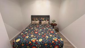Appartements Les Logis du Sud - Pampa et Olivier : photos des chambres