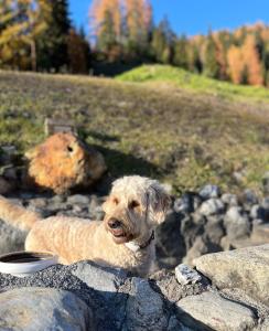 Apart Gabriele - Pure Alpin Style