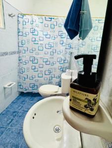 Cabaña flores en la colina