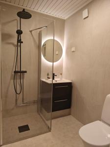 Arctic Lapland Apartment