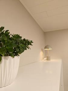 Arctic Lapland Apartment