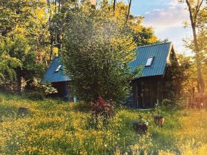 White Hill Lodge - rustic cabinin a stunning meadow