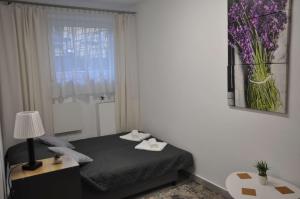 Legionowo Przytulny Apartament z Tarasem by Noclegi Renters