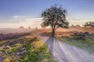 Volledig opgeknapt Boschalet met Airco op de Veluwe