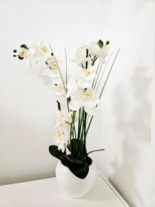 Deluxe Jade Apartmens