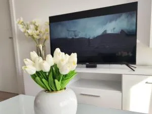 Todorovic Apartments Panorama - Divostin