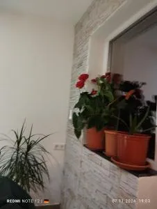 Haus Schliengen - Obereggenen