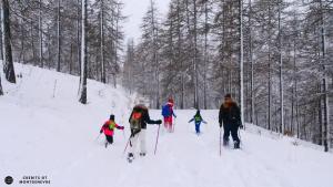 Chalets Prestigious Chalet for 18 Guests, Pool & Jacuzzi, close to slopes and resort center : photos des chambres