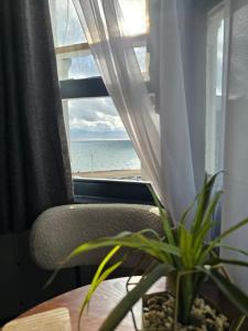 The Loft by Saltlife