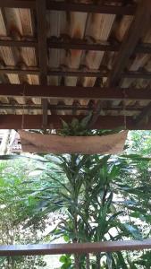 CASA na PRAIA com experiência