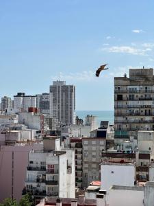 Luminoso y moderno Dpto en Mar del Plata - Excelente Ubicación