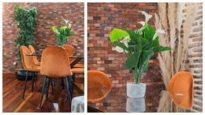 Apartamentos Las Teresitas junto a la Catedral