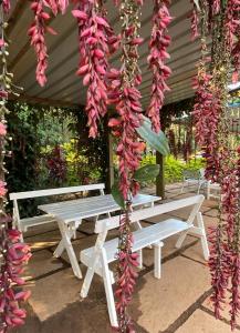 Halli Berri Cottages