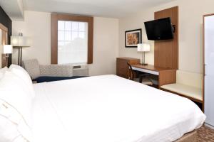 Holiday Inn Express Hotel & Suites Bonita SpringsNaples by IHG