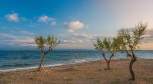 Oasis Beach Hotel Agistri Greece