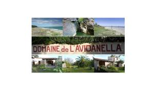 Appartement Domaine de l'Avidanella Santa-Lucia-di-Moriani Frankreich