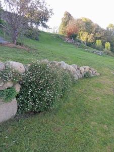 Villas Eden des Pyrenees : photos des chambres