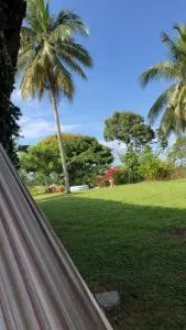 Doradal Napoles - La Mesa Norte