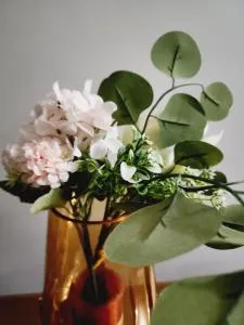 Beagle Sands - Tierpoort